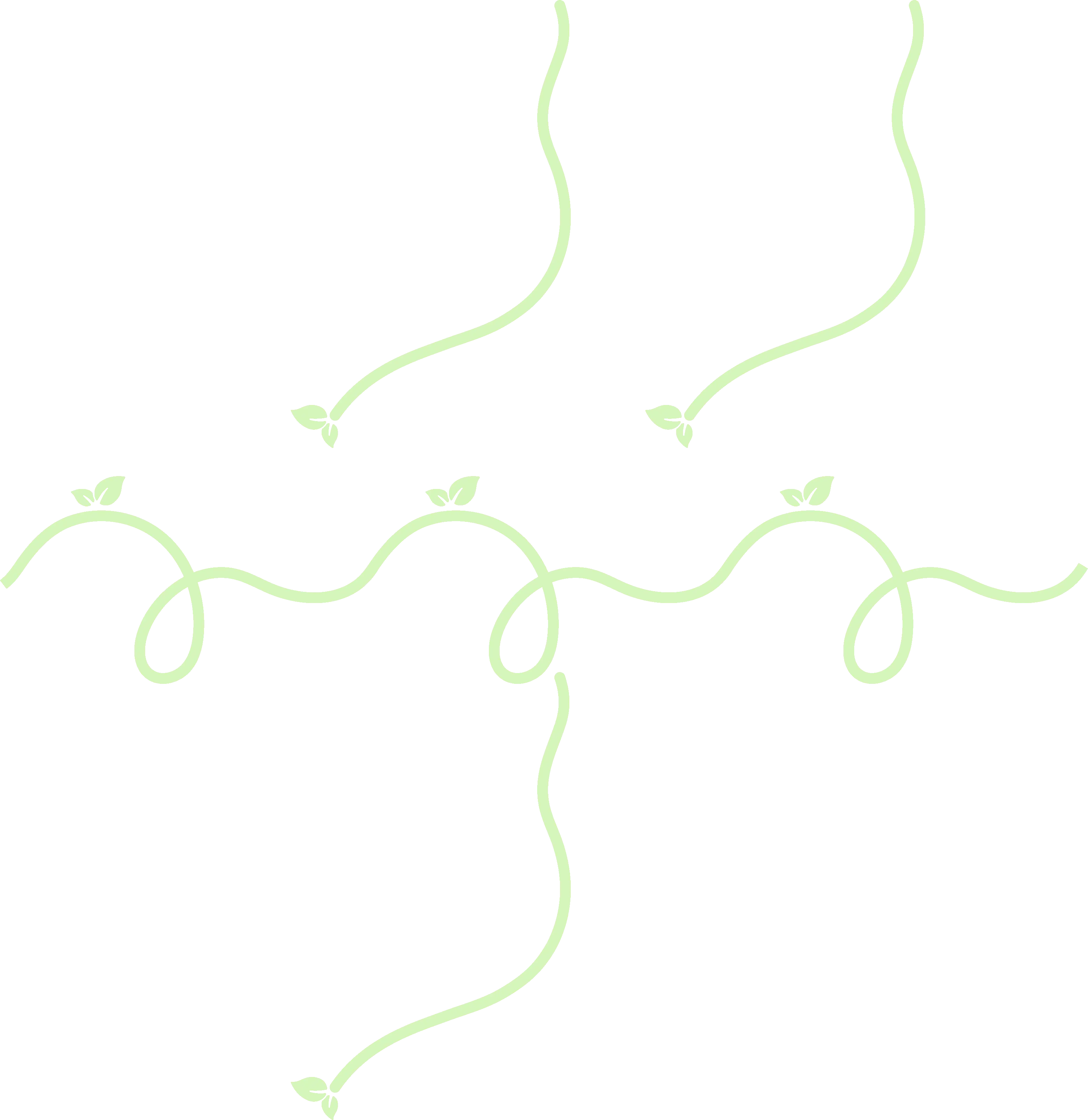ervad-diet-logo